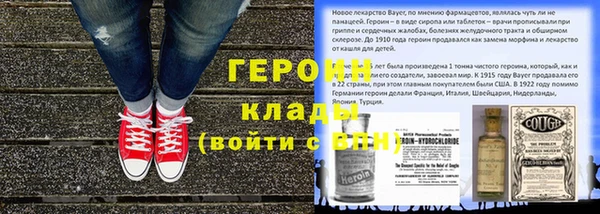 индика Калининец