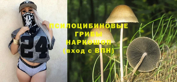 прущие крисы Козловка