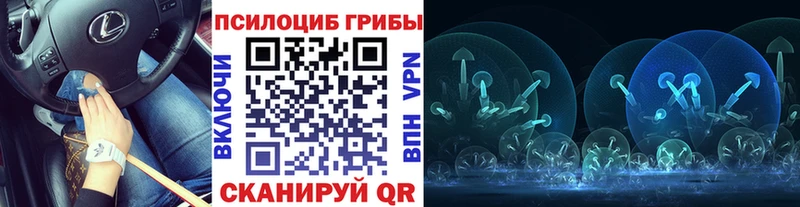 Псилоцибиновые грибы Psilocybe Купить закладки Никольское